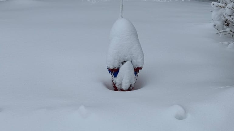 A snowed-in fire hydrant in Huntington Station on Monday.
