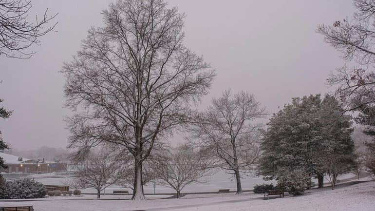 Snow falls in Eisenhower Park on Sunday.