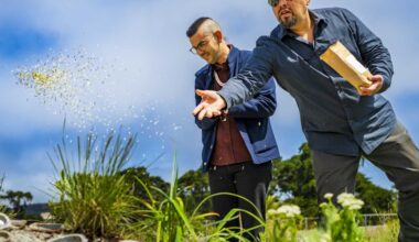 Berkeley cafe 'ammatka is this Ohlone duo's latest.