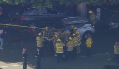 6 injured after car crashes into tree on sidewalk in downtown LA