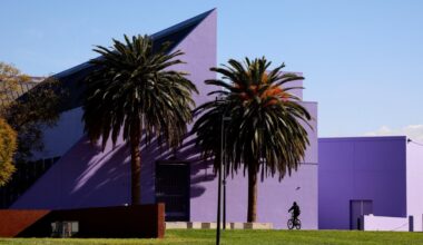 Children’s Discovery Museum in San Jose announces its new CEO – The Mercury News