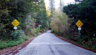A narrow asphalt road surrounded by dense trees on both sides has two yellow signs stating "Not a Through Road."