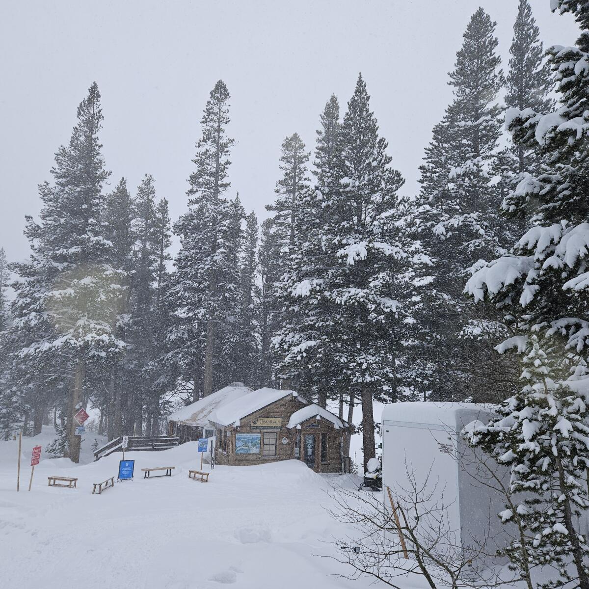 A cross-country ski and snowshoe rental yurt surrounded by snow on Mammoth Mountain.