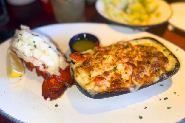 Maine Lobster Tail and Lobster Pasta au Gratin as a part of the Lobsterfest Lobster Lover's Dream duo at Red Lobster (Carolyn Burt, SCNG)