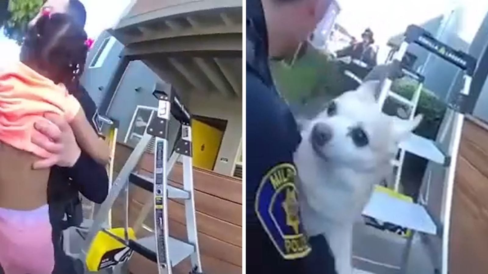 Video shows dramatic rescue of family from Milpitas, California apartment fire; toddler and dog thrown from balcony