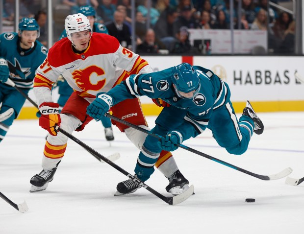 San Jose Sharks' Michael Misa (77) fights for the puck against Calgary Flames' Yan Kuznetsov (37) in the third period at the SAP Center in San Jose, Calif., on Thursday, Feb. 26, 2026. (Nhat V. Meyer/Bay Area News Group)