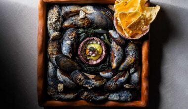 Vicinity is an impressive autobiographical odyssey.