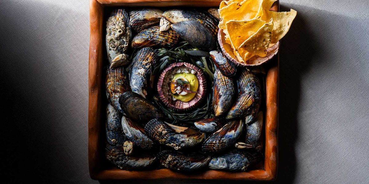 Vicinity is an impressive autobiographical odyssey.