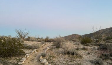 Desert camping is a winter dream – San Diego Union-Tribune