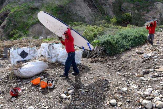 Workers remove bamboo and trash from Lunada Bay, the location where the "Bay Boys" would keep outsiders from entering the beach and surf in Palos Verdes, a violation of the Coastal Act. (Photo by Axel Koester, Contributing Photographer)