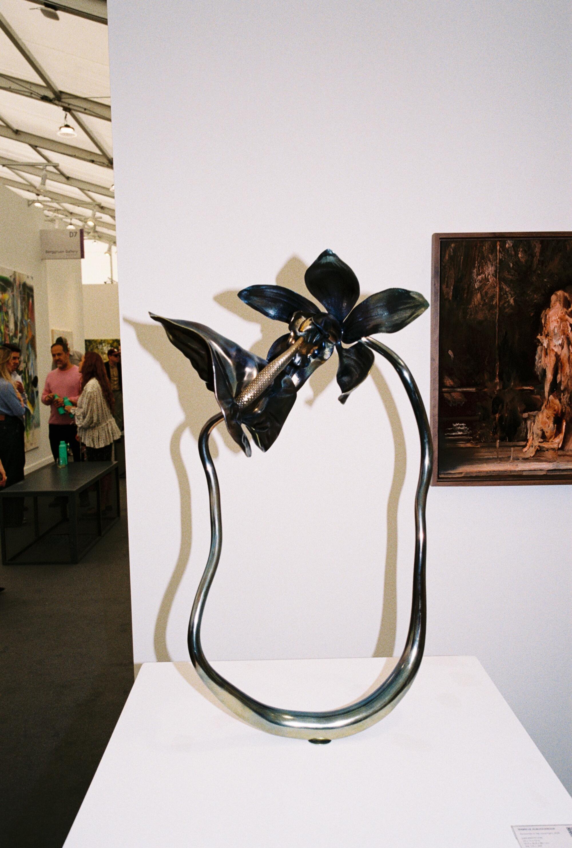 Isabelle Albuquerque