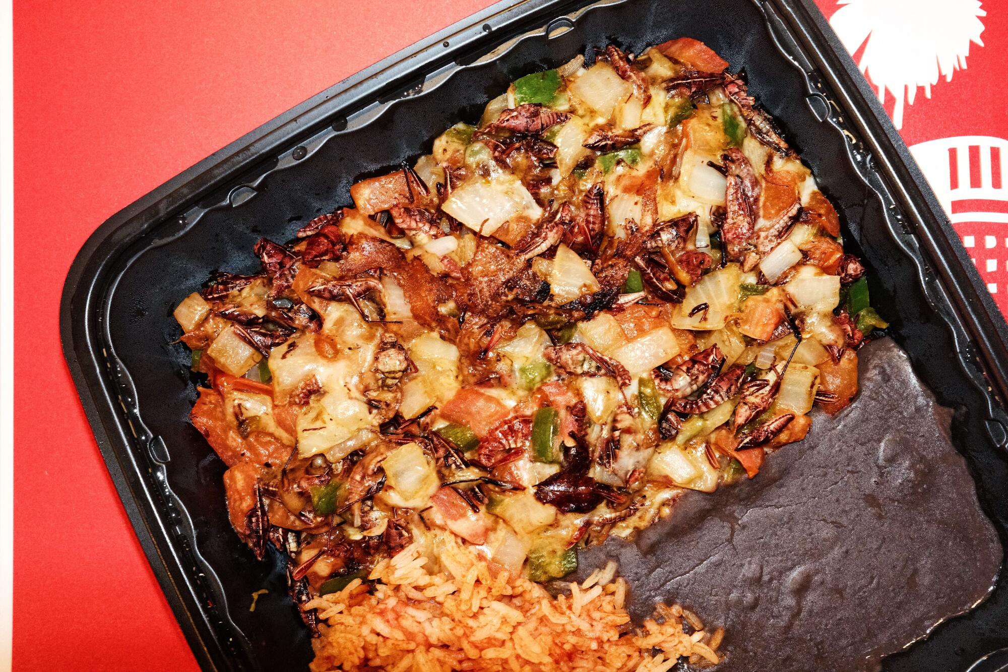 A black plastic to-go container of sautéed chapulines with rice and beans on a red table