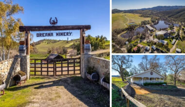 Yahoo lifestyle home