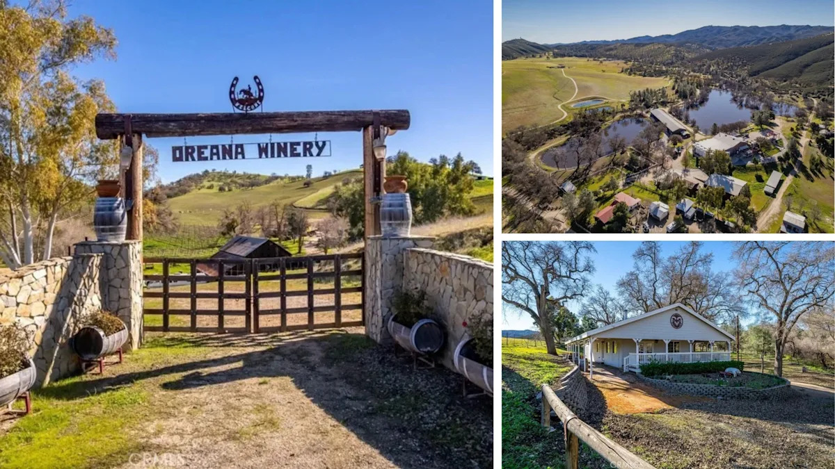 Yahoo lifestyle home