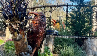 Giant Pollinators Take Over Descanso Gardens Railroad