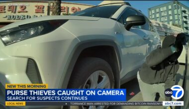 Thieves snatch purse from woman's car in Koreatown parking lot, video shows