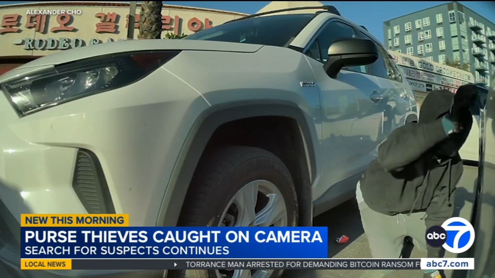 Thieves snatch purse from woman's car in Koreatown parking lot, video shows