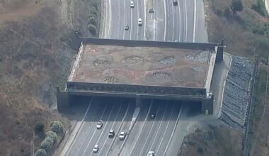 California to provide $18 million to finish wildlife crossing over 101 Freeway in Agoura Hills