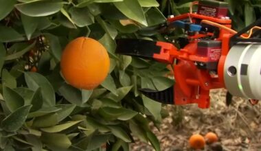 Ag Watch: Robotic Harvester - ABC30 Fresno