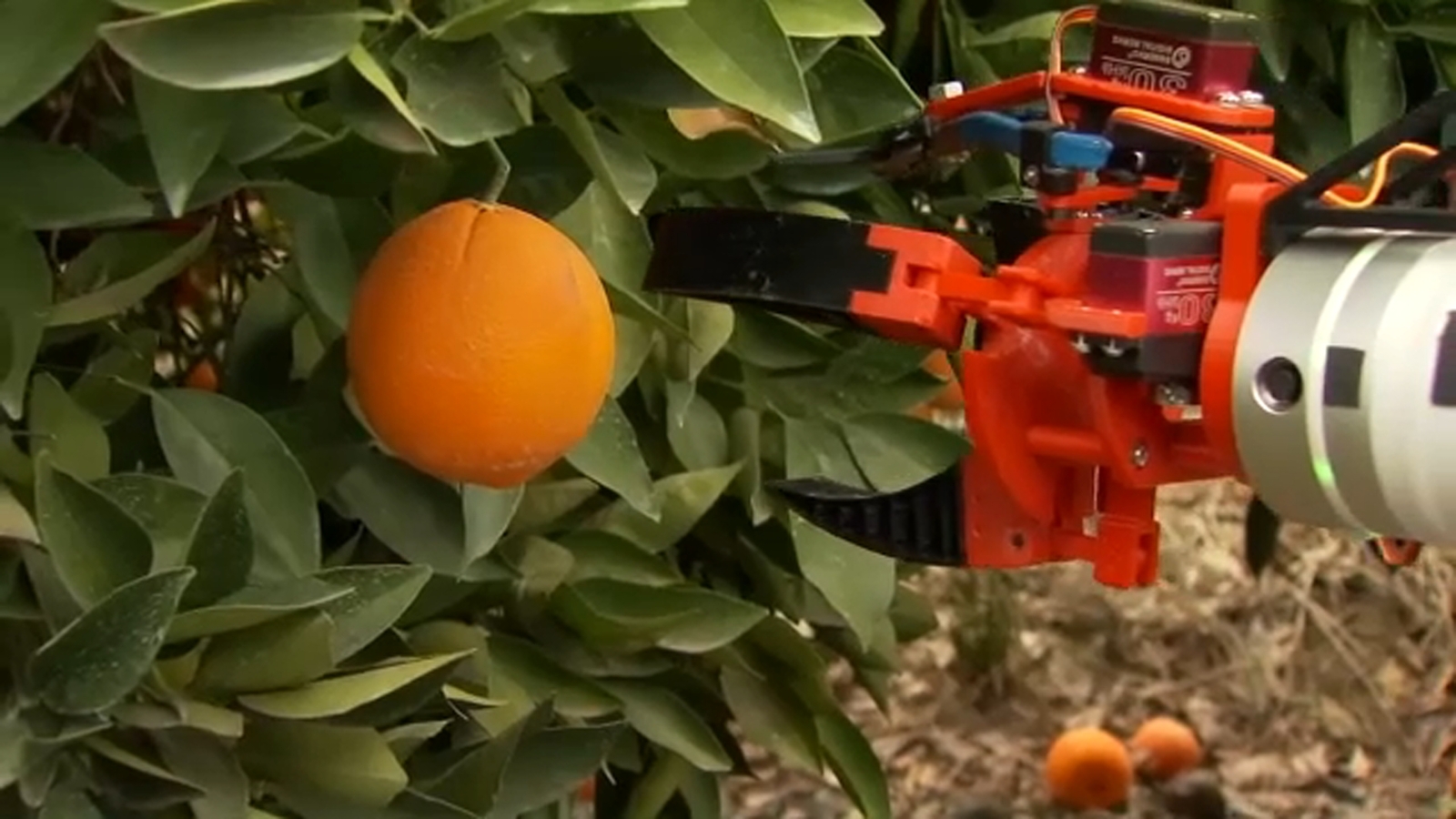 Ag Watch: Robotic Harvester - ABC30 Fresno
