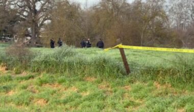 Woman found dead in Woodward Park, no foul play suspected, police say
