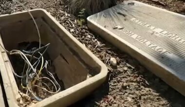 Mar Vista residents, councilmembers unite to address streetlight outages linked to copper wire thefts