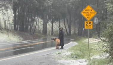 Snow, thunderstorms and more wild weather sweep across North Bay