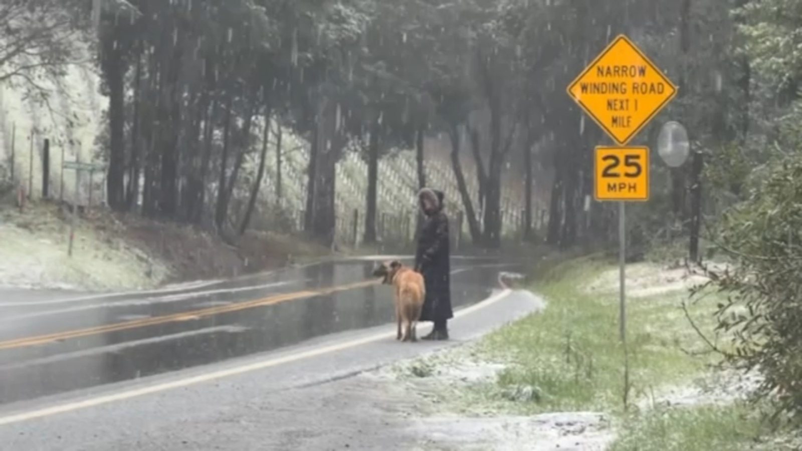 Snow, thunderstorms and more wild weather sweep across North Bay
