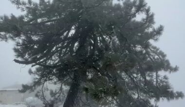 Rain, snow fall on the South Bay during Tuesday storm