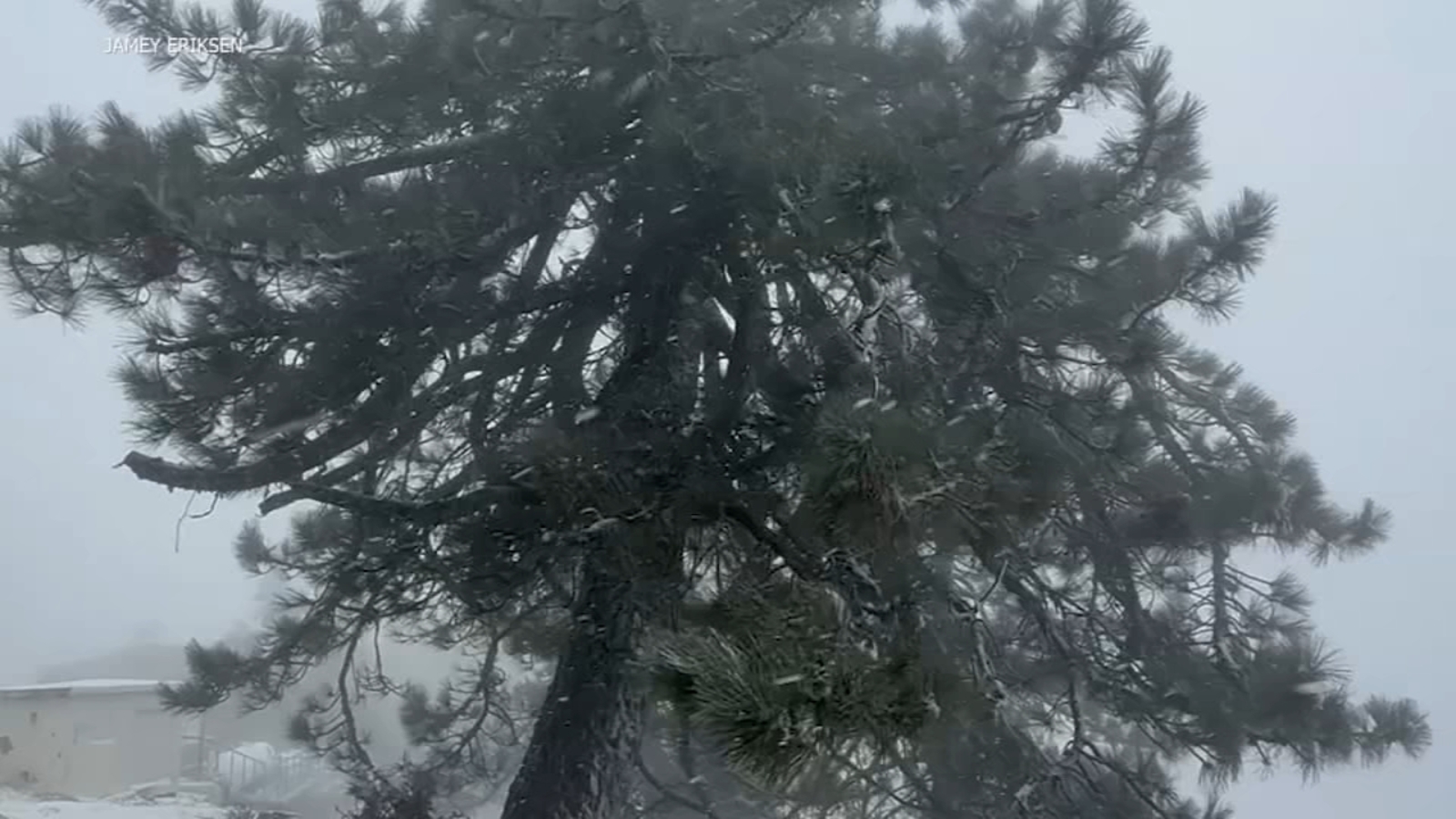 Rain, snow fall on the South Bay during Tuesday storm