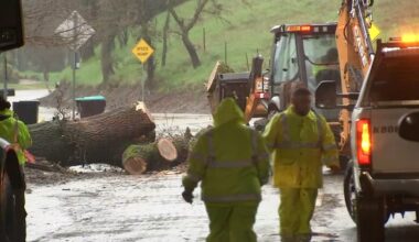 Storm topples tree, roads flooded in East Bay neighborhoods