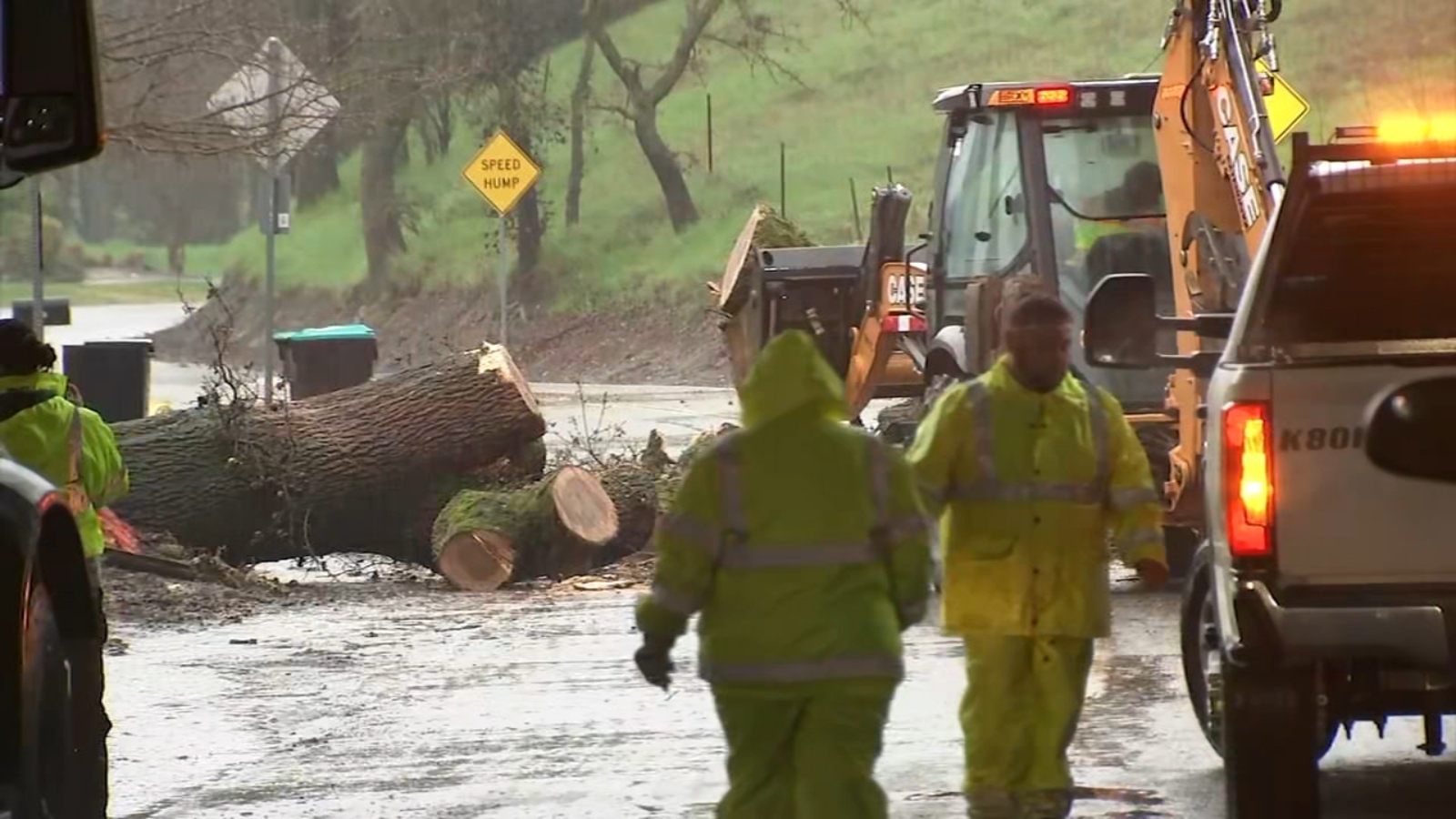 Storm topples tree, roads flooded in East Bay neighborhoods