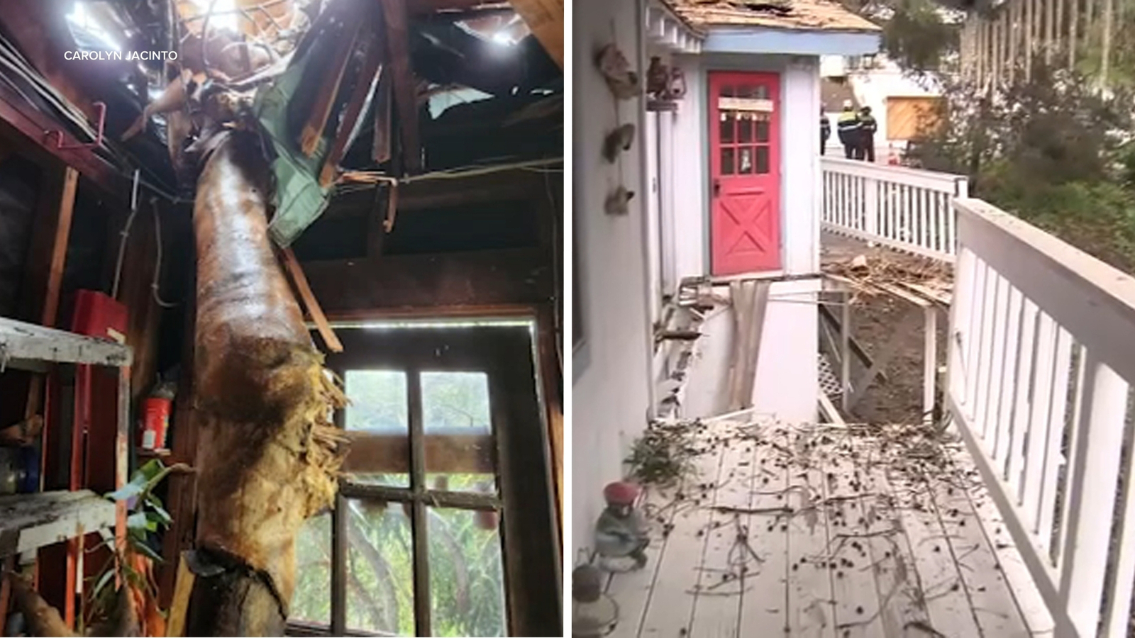 Tree crashes through San Clemente home during storm