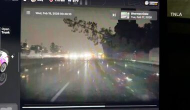 Large tree dangles over 405 Fwy, shutting down SB lanes