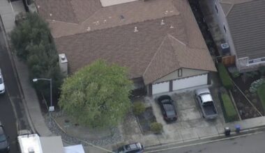 San Jose man arrested in deadly shooting of mother and son in Joanne Circle neighborhood of Pleasanton, authorities say