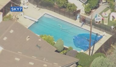 San Jose daycare owner pleads guilty in drowning deaths of 2 toddlers, as co-owner faces trial