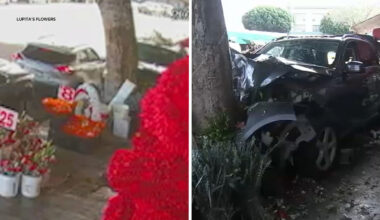 Multiple pedestrians injured after car crashes onto sidewalk in in downtown Los Angeles Flower District