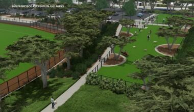 Controversial artificial turf plan at San Francisco's Crocker Amazon Park sparks community debate