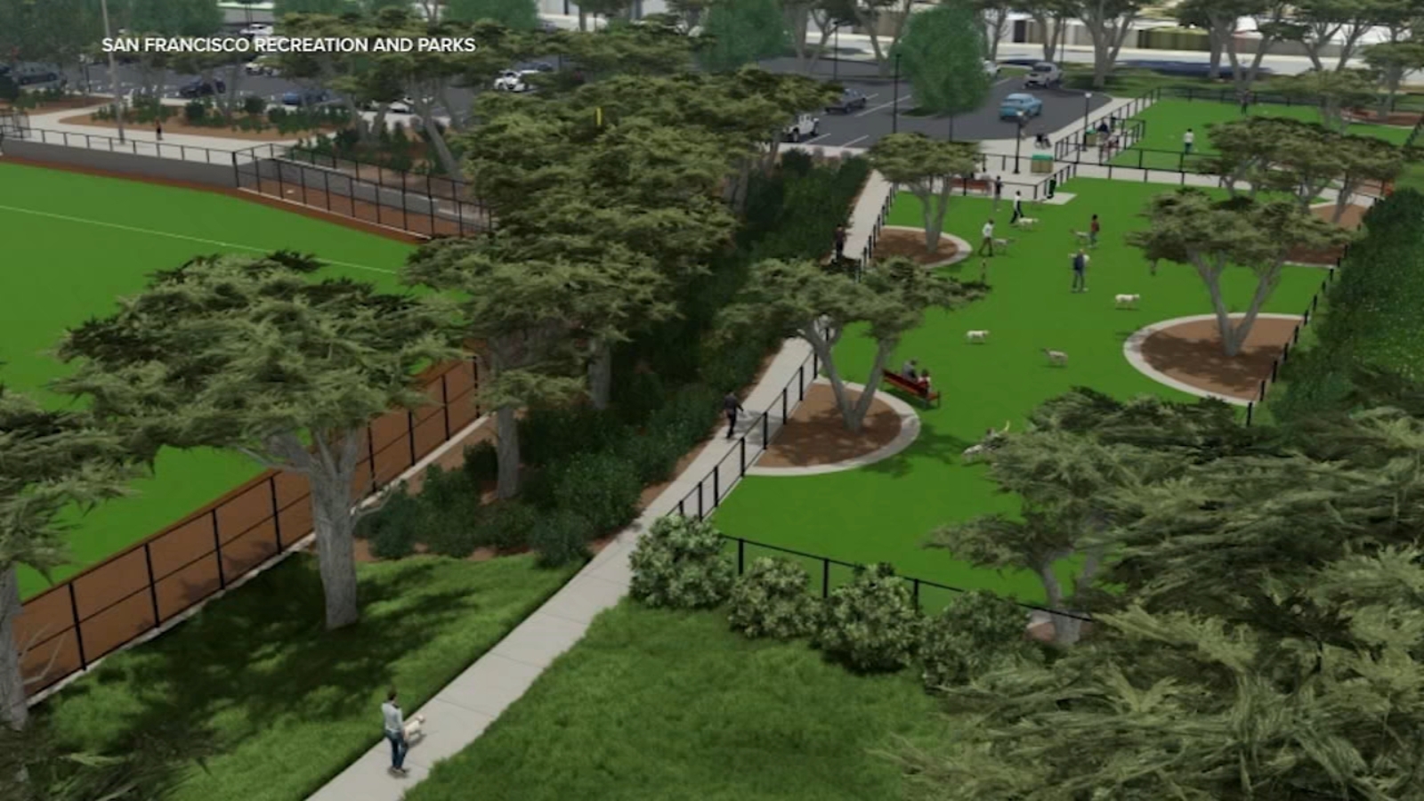 Controversial artificial turf plan at San Francisco's Crocker Amazon Park sparks community debate