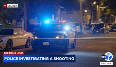 Teenager, man shot while sitting in car in Del Rey, Los Angeles police say