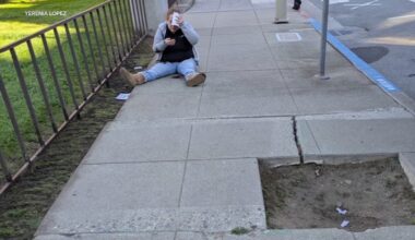 San Francisco's empty tree wells can be hazardous. Here's how District 3 Supervisor Danny Sauter is trying to fix it