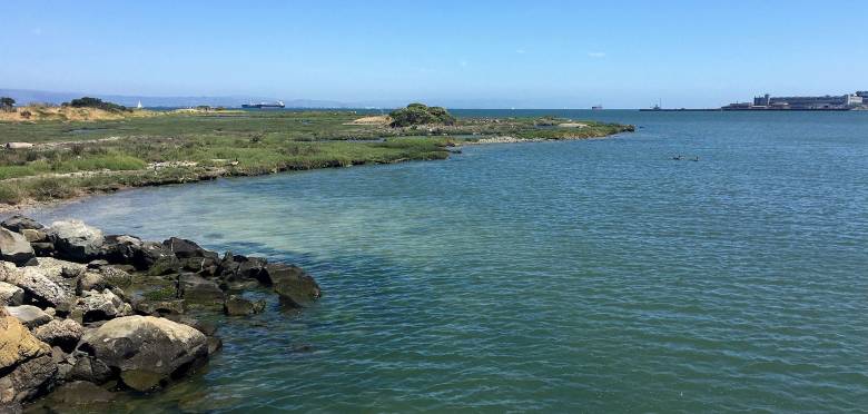 Once planned as a shipping terminal, Heron’s Head Park has reverted back to salt marsh, with a lot of help.