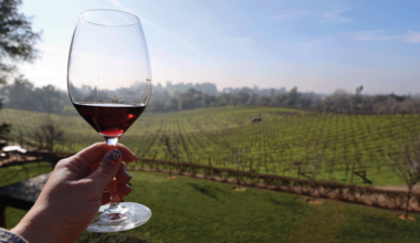 This Valentine's, Fall in Love With an Underrated California Wine Destination