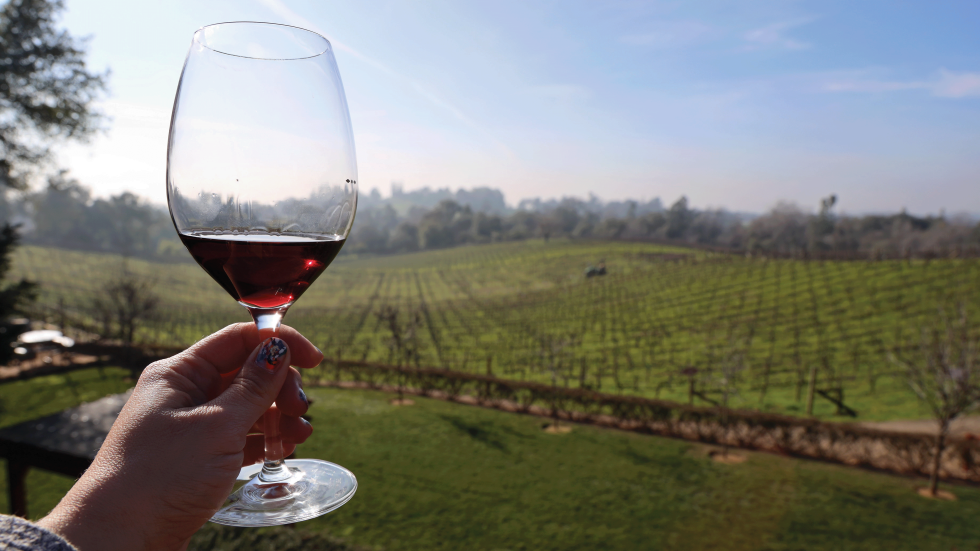 This Valentine's, Fall in Love With an Underrated California Wine Destination