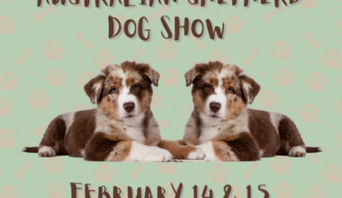 The Big Fresno Fair | Blog