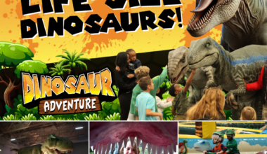 The Big Fresno Fair | Blog