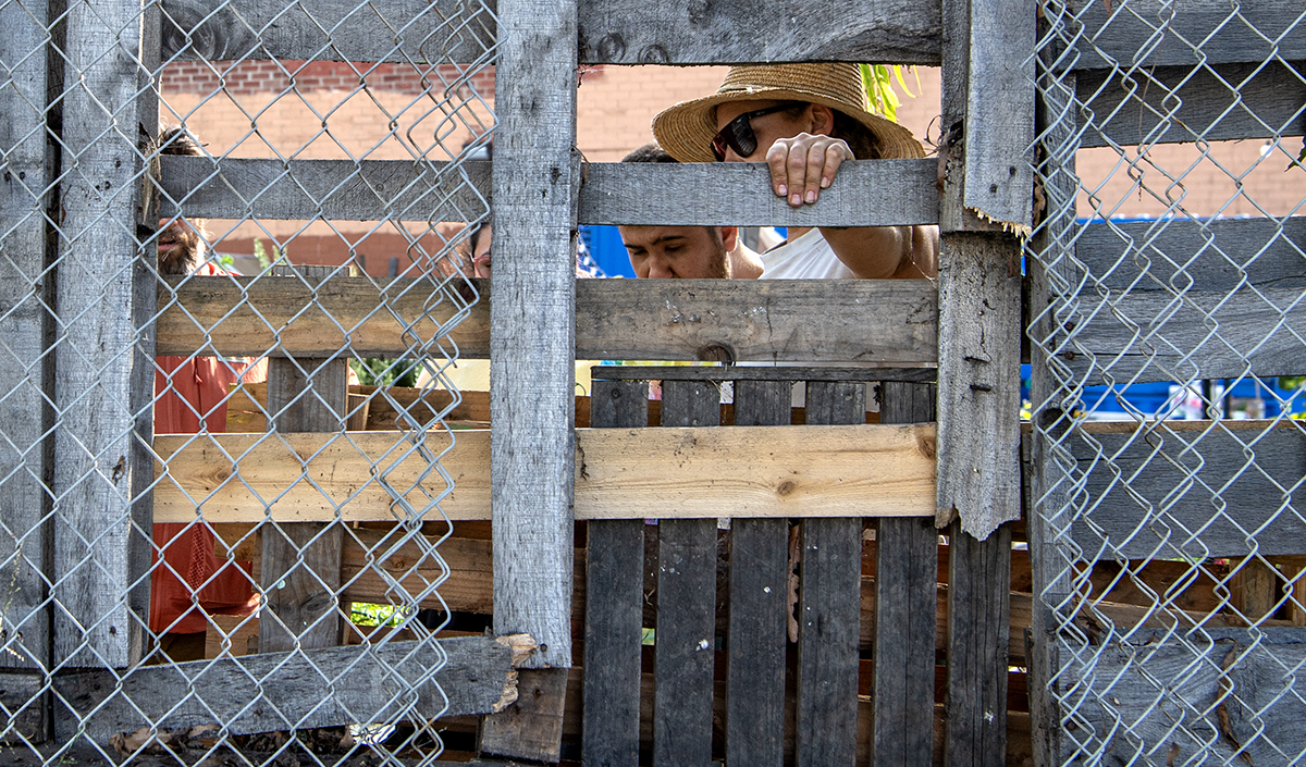 Thieves repeatedly steal tools, supplies from farm that teaches youth with disabilities how to garden  • Long Beach Post News