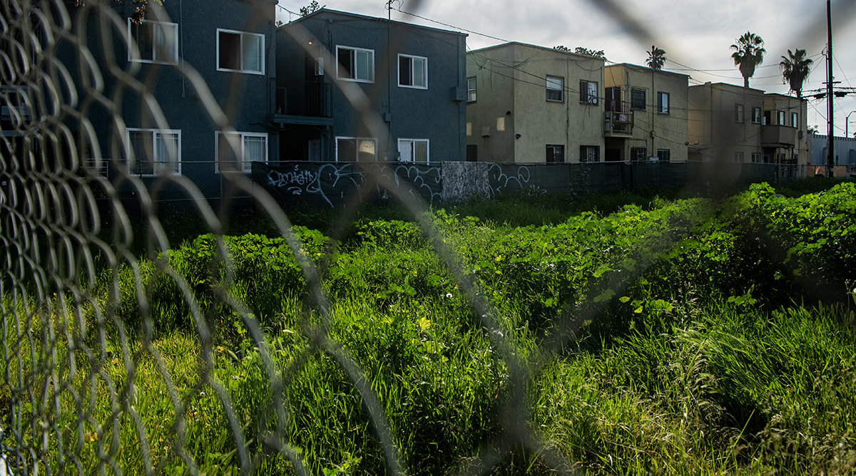 Long Beach says absentee landowners have ignored citations, let their properties decay. New penalties may change that. • Long Beach Post News