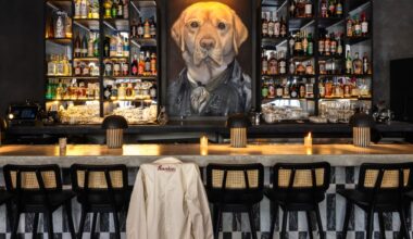 Frankie’s, a Companion Bar for the Goodest Boy, Is Pouring Magnums in San Francisco