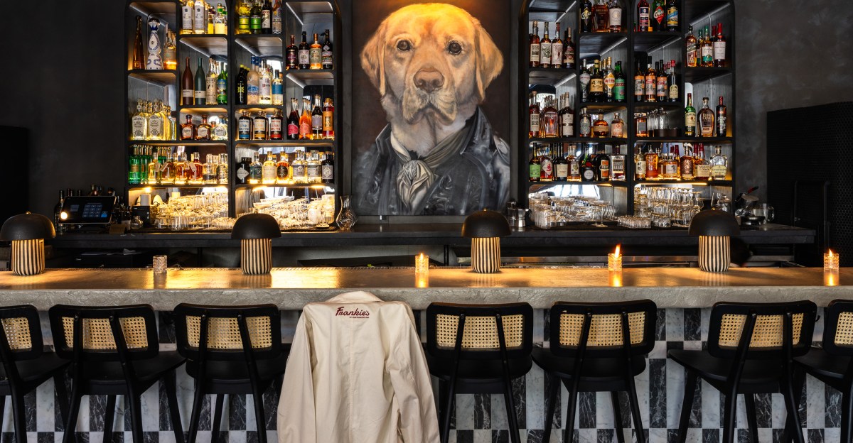 Frankie’s, a Companion Bar for the Goodest Boy, Is Pouring Magnums in San Francisco